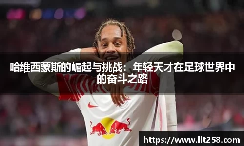 乐鱼电竞官方网站